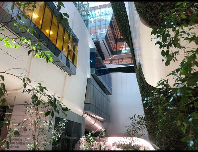 592M² OFFICE TO LET IN ROSEBANK